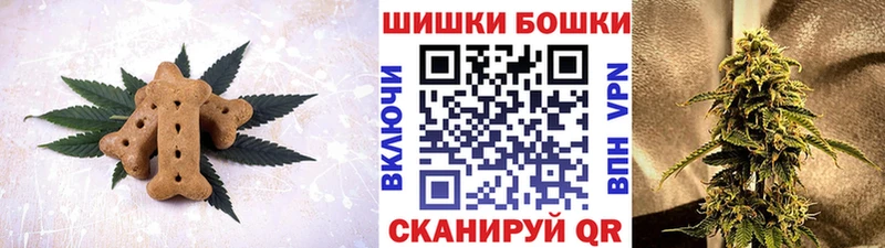 Canna-Cookies марихуана  Купить закладки  Горно-Алтайск 