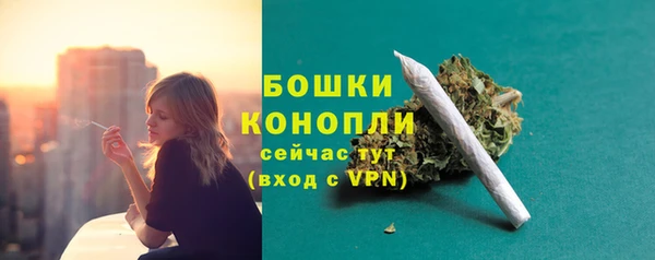 гидра Приозерск