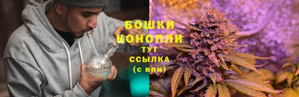 mdma Пересвет