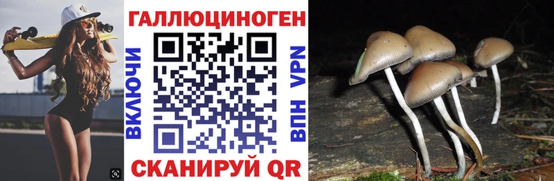 Галлюциногенные грибы мухоморы  Купить где  Горно-Алтайск 